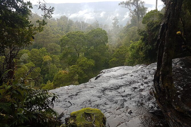 2 Day Cradle Mountain Tour / Hobart return / Inc. Accommodation - Who Is This Tour Best For?