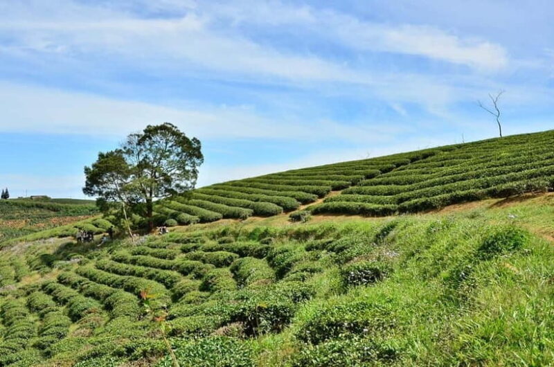 2-Day Dalat Motorcycle Tour To Mui Ne - Final Thoughts: Is It Worth It?