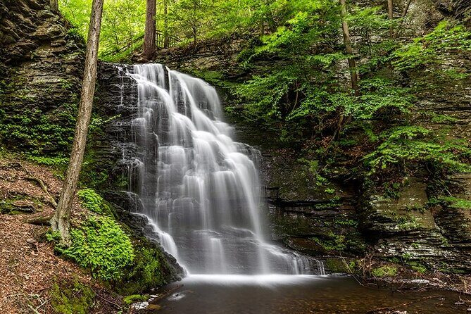 2-Day Dark Sky Stargazing and Bushkill Falls Nature Tour from NYC - An In-Depth Look at the Experience