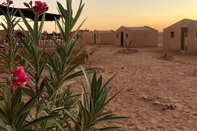 2 Day Desert Tour from Mhamid - Frequently Asked Questions (FAQ)