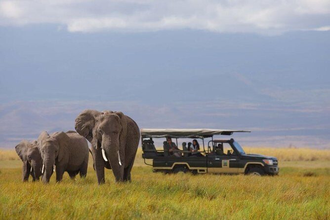 2- Day Diani to Amboseli Flying Safari - 2-Day Diani to Amboseli Flying Safari: An In-Depth Review