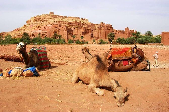 2 Day Excursions Marrakech Merzouga Erg Chebbi Camel Trek 2 Days 1 Nights Luxury - Final Thoughts