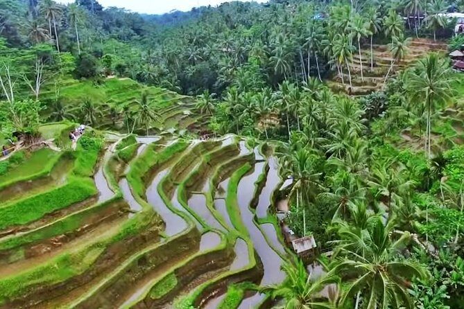 2-Day Experience Bali: Most Popular Tour - Key Points