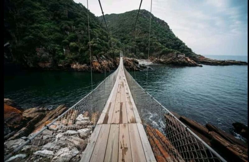 2-Day Garden Route From Port Elizabeth - Tsitsikamma & Plett - Key Points