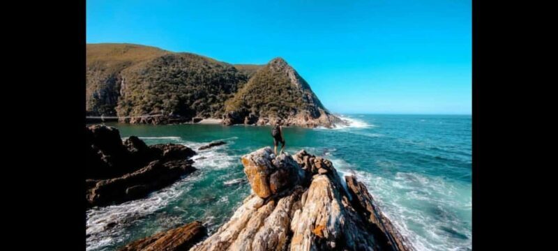 2-Day Garden Route From Port Elizabeth - Tsitsikamma & Plett - What Makes This Tour Stand Out