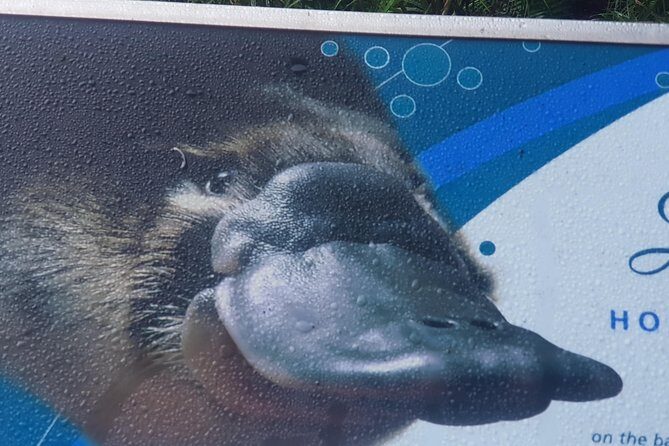 2 Day Great Ocean Road Tour and Platypus paddle - What Travelers Are Saying