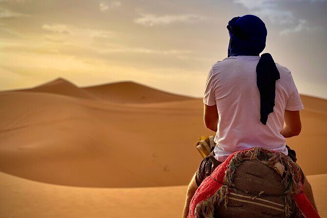 2-Day Guided Tour from Fes to the Desert - Key Points