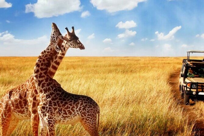 2 Day Hluhluwe Game Reserve & Isimangaliso Park from Durban - FAQ