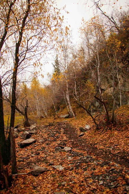 2 Day Horse trekking in Terelj national park - An In-Depth Look at the 2-Day Horse Trekking Tour