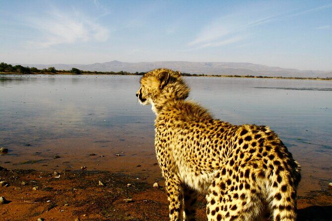 2 Day Inverdoorn Luxury Safari - Introduction