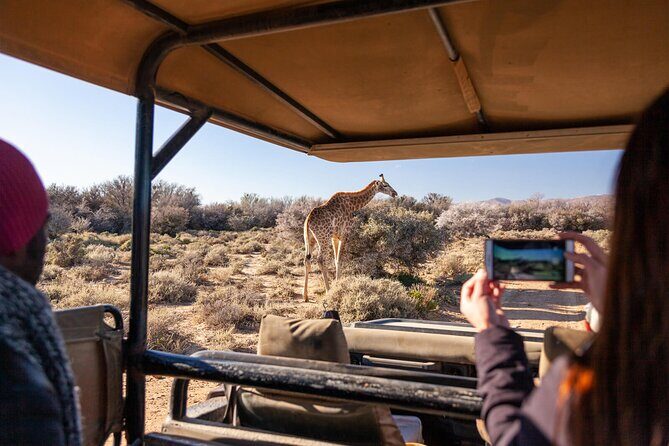 2 Day Inverdoorn Luxury Safari - Key Points