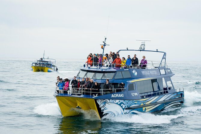 2 Day Kaikoura Whale and Dolphin Tour from Christchurch - Introduction: What to Expect from This Tour