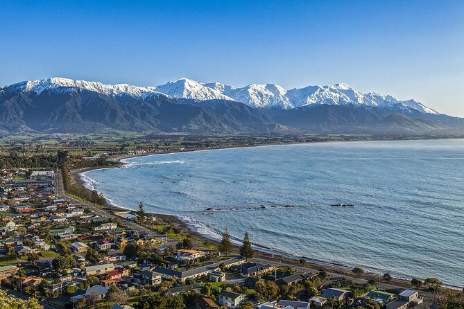 2 Day Kaikoura Whale and Dolphin Tour from Christchurch - The Sum Up: Is This Tour Right for You?