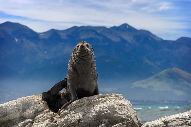 2 Day Kaikoura Whale and Dolphin Tour from Christchurch - FAQ