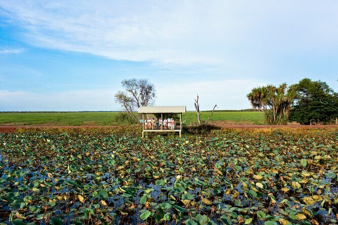 2 Day Kakadu Resort Yellow Water Cruise Comfort Tour from Darwin - Analyzing Cost and Value
