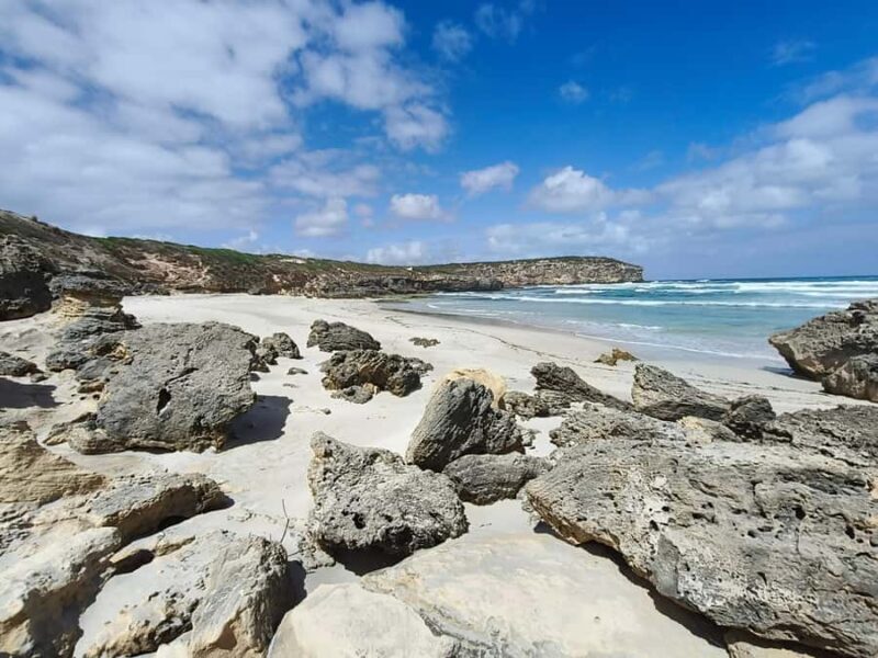 2-Day Kangaroo Island Private Tour - Exploring Kangaroo Island: What Makes This Tour Stand Out?