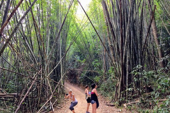 2-Day Khao Sok Jungle Safari from Krabi - Final Thoughts