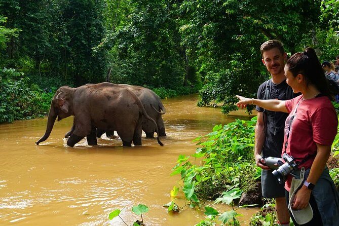 2-Day Kindred Spirit Elephant Sanctuary in Chiang Mai - Who Will Love This Experience?