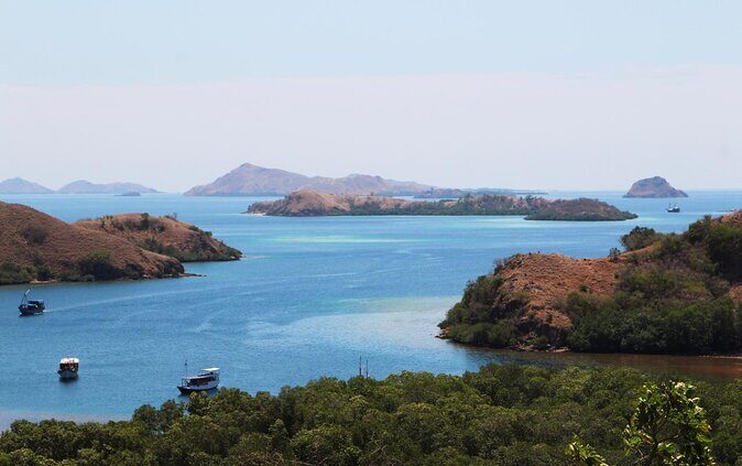 2-Day Komodo National Park and Rinca Island Wildlife Adventure from Bali - Introduction
