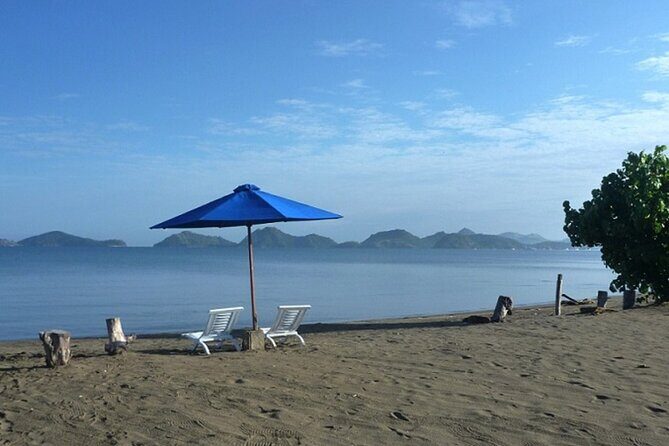 2-Day Komodo National Park and Rinca Island Wildlife Adventure from Bali - Authentic Encounters and Review Highlights