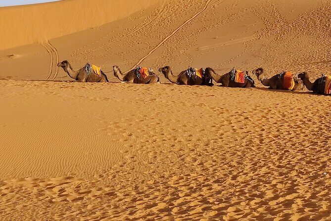 2 Day Luxury Desert Tour from Fes to Fes or Marrakech - The Sum Up