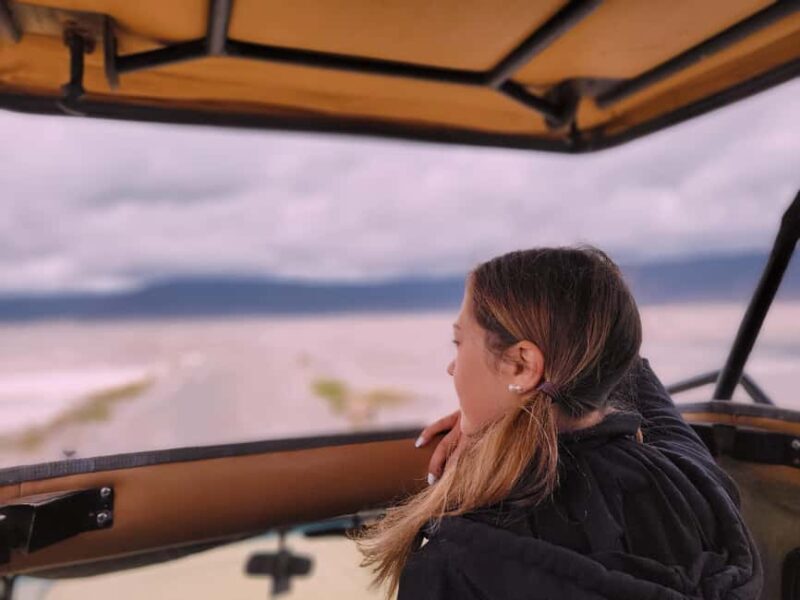 2-day luxury private fly safari from&back to zanzibar - What’s included and what to consider