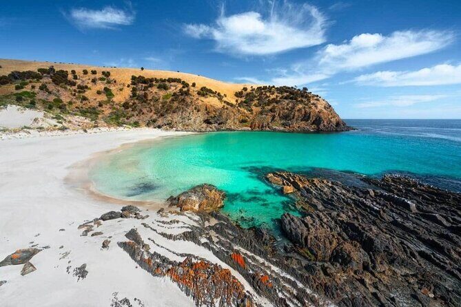2 day Luxury Private Tour in Kangaroo Island - An In-Depth Look at Kangaroo Island’s 2-Day Luxury Private Tour
