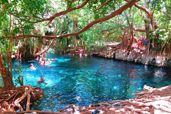 2-Day Masai Village Camping Experience and Kikuletwa Hot Spring - Introduction