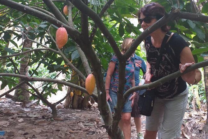 2-Day Mekong Delta with Cai Cang Floating Market from HCM City - An In-Depth Look at the 2-Day Mekong Delta Tour