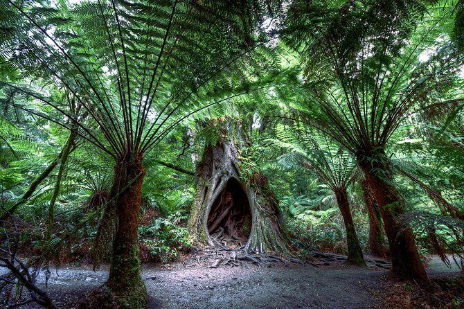 2-Day Melbourne to Adelaide Tour via Great Ocean Road Grampians - The Value and Who This Tour Is Best For