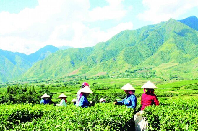 2-Day Motorbike Tour to Mu Cang Chai Loop from Sapa - FAQ