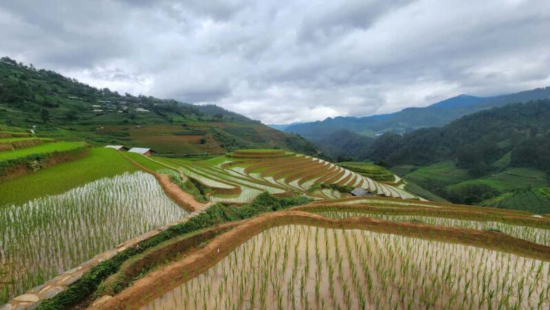 2-Day Motorbike Tour to Mu Cang Chai Loop from Sapa - Who Should Consider This Tour?