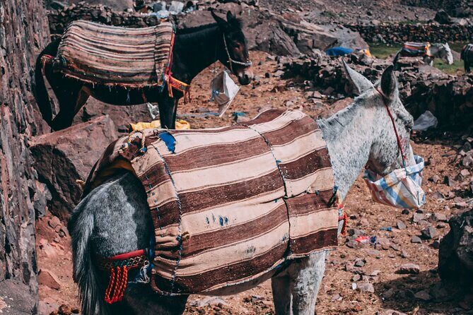 2 day mount toubkal trek ( private trek ) - Authenticity and Value