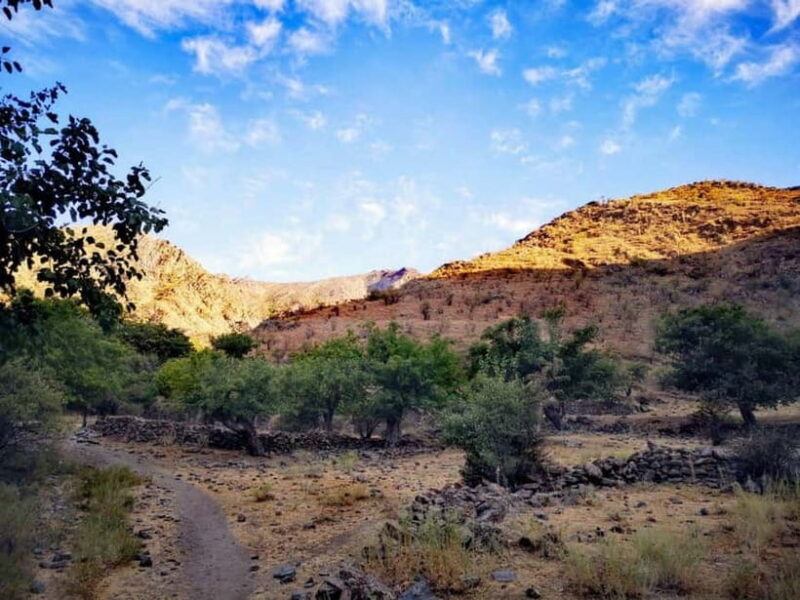 2-Day Nuratau Mountain Tour to Sentob Village from Bukhara. - Discovering the Nuratau Mountain Tour: What to Expect