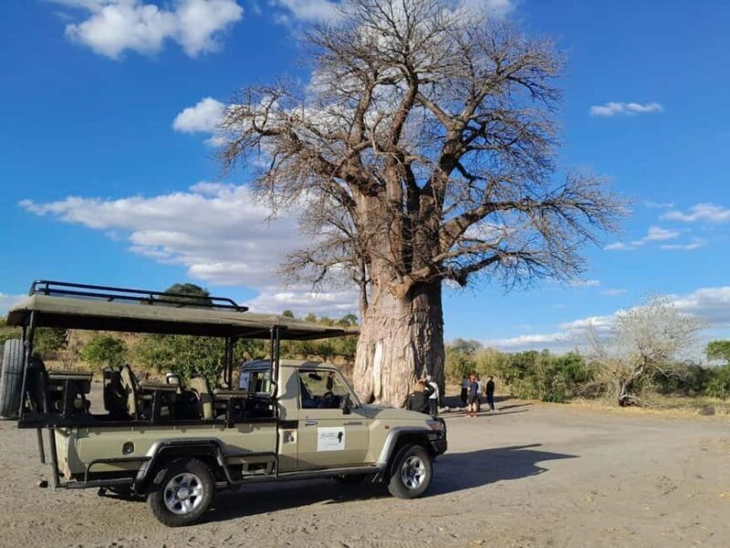 2 Day one night chobe safaris - Exploring the Details of the Chobe Safari Adventure