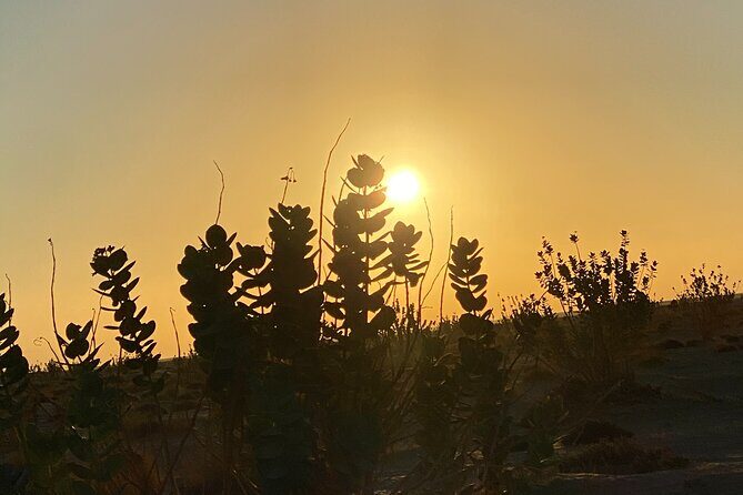 2-Day Overnight Desert Experience - Final Thoughts