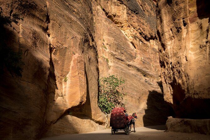 2-Day Petra Tour from Jerusalem - The Journey Begins: From Jerusalem to Jordan