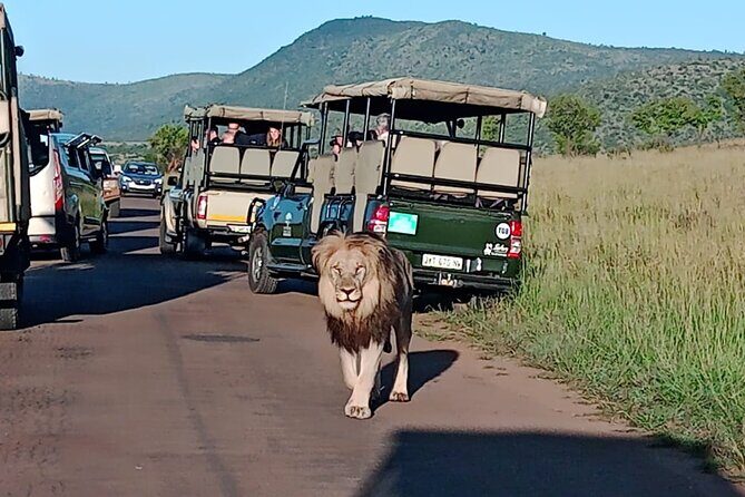 2 Day Pilanesberg ultimate Luxury Safari - Final Thoughts