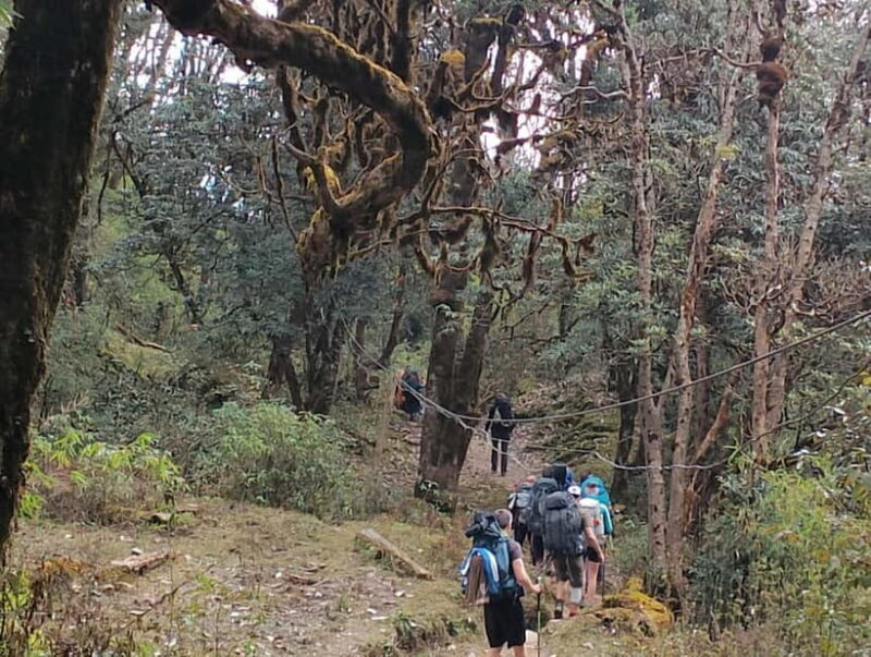 2-Day Poon Hill Hike: Catch the Best Sunrise in Nepal - FAQs