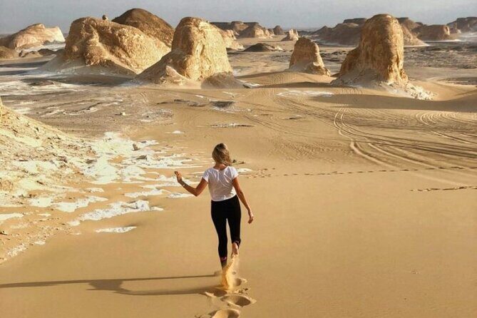 2-Day Private Bahariya Oasis Tour from Cairo and Giza Hotels - Key Points