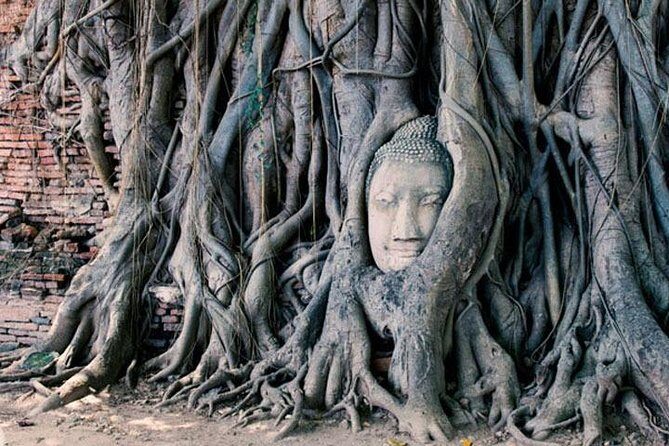 2 Day Private Car with Driver from Laem Chabang to Bangkok & Ayutthaya - Why This Tour Works for You