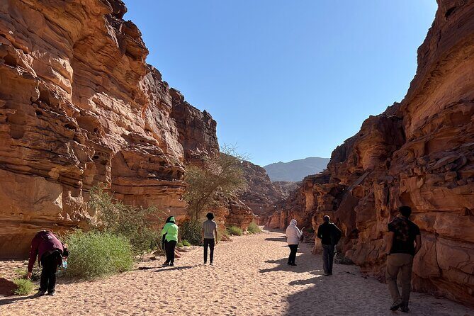 2 Day Private Desert Experience in Sinai - Who Would Love This Tour?