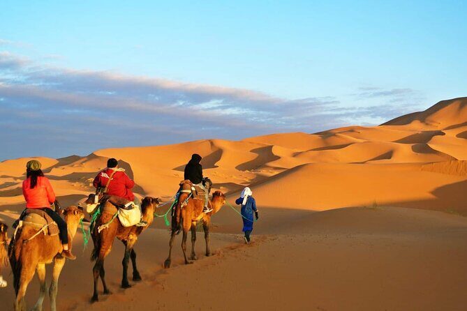 2 Day Private Fez Desert Tour to Merzouga - What Makes This Tour Worth It?