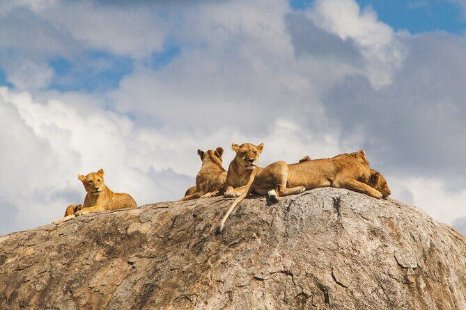 2-Day Private Guided Tour to Tarangire and Ngorongoro - Key Points
