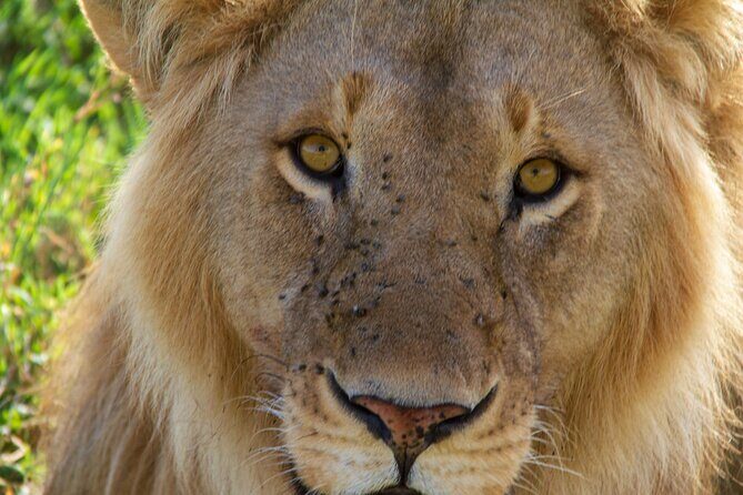 2-Day Private Guided Tour to Tarangire and Ngorongoro - What Makes This Tour Stand Out?