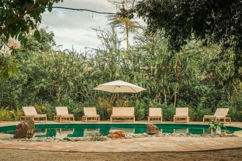 2-Day Private Luxury Safari from Zanzibar with Flights - An In-Depth Look at the Safari Experience