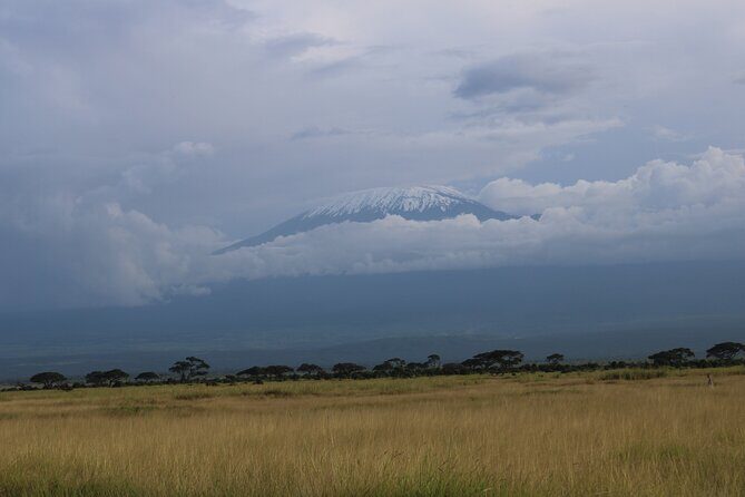 2-Day Private Safari to Amboseli National Park - What to Expect from This 2-Day Amboseli Safari