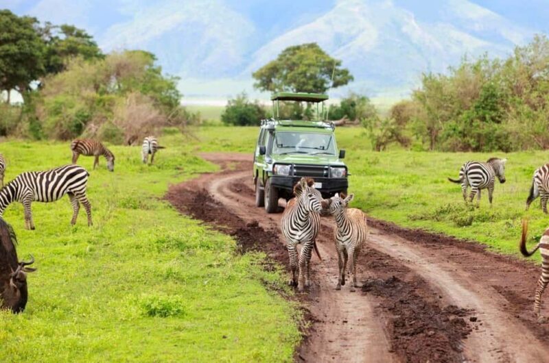 2 Day Private Tarangire and Ngorongoro Crater Safari - Day 1: Exploring Tarangire National Park