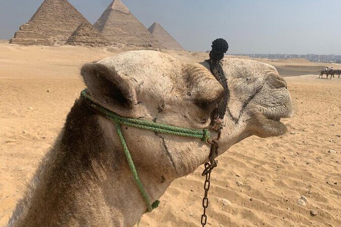 2-Day Private Tour Ancient Egyptian Pyramids Giza and Saqqara - Practical Details and Value