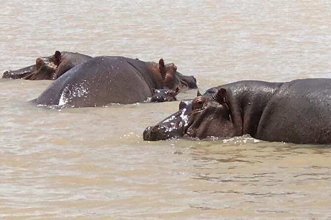 2-Day private Tour in Bahir Dar and Blue Nile falls - Key Points